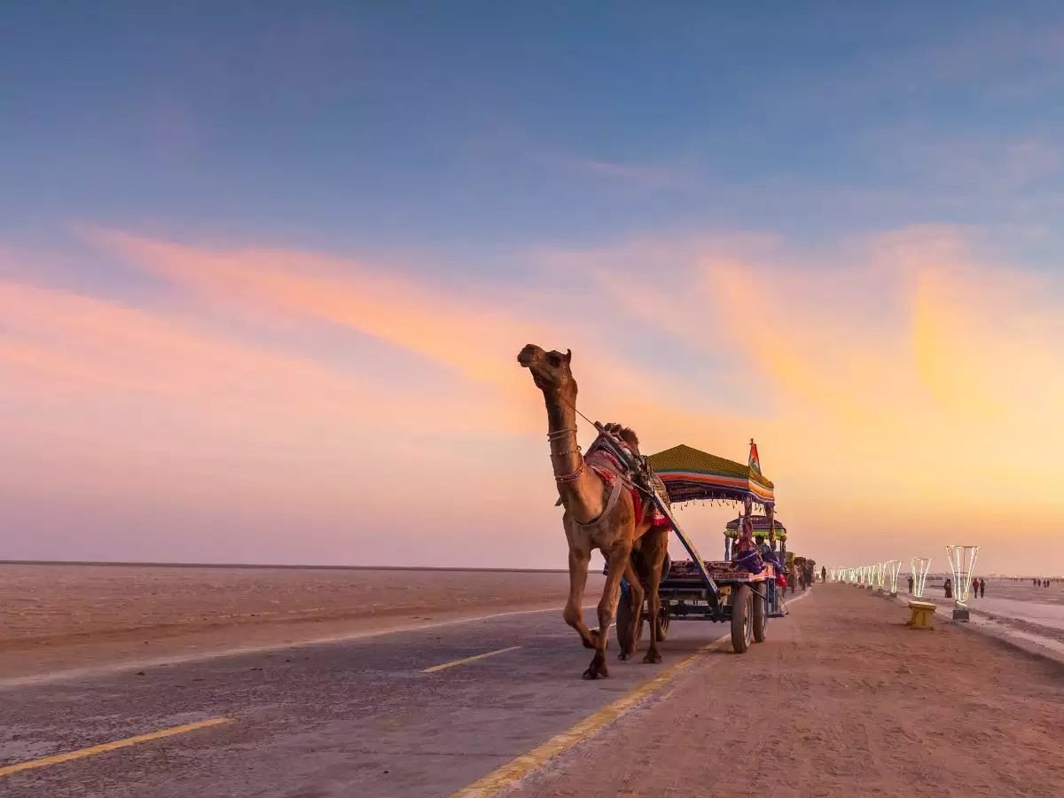 Tented camp at Rann of Kutch cultural fest